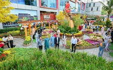 Khai mạc đường hoa ‘Vũ khúc Xuân Bính Ngọ’ lần thứ 5