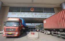 Bộ Nông nghiệp và Môi trường báo cáo Thủ tướng vụ nông sản gặp khó ở cửa khẩu