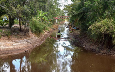 Xâm nhập mặn gia tăng ở miền Tây đầu tháng 2 và Tết Nguyên đán