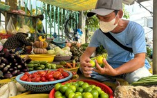 Cận Tết, chanh không hạt tăng giá gấp 3 nhưng nhà vườn không có hàng bán