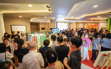 Phú Mỹ Hưng Harmonie mở booking online: Bất động sản TP.HCM rộn ràng ngay đầu năm