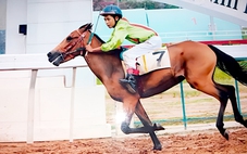 Những người vương vấn nghề nuôi ngựa đua Đức Hòa: Đời nài ngựa sau thời vang bóng