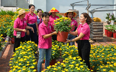 Sân thượng chung cư biến thành 'vườn xuân' 1.000 chậu hoa