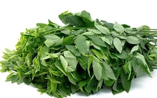 Những lưu ý giúp xương chắc khỏe cho người lớn tuổi