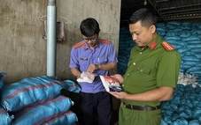 Khởi tố giám đốc công ty sản xuất hàng ngàn tấn muối iốt giả