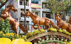 Cần Thơ công bố điểm giữ xe, đường dây nóng phục vụ khách tham quan đường hoa nghệ thuật