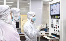 Vi mạch bán dẫn: Câu chuyện về 'tinh hoa' và 'lót ổ'