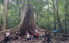 Vào rừng du Xuân