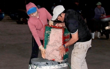 Ngư dân Đà Nẵng săn ruốc biển cận Tết, được mùa nhưng mất giá