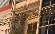 Chim én bay về ngủ đêm, người dân Mỹ Tho than trời vì phân chim thải xuống