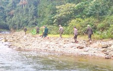 Thầm lặng những bước chân giữ rừng ngày giáp Tết