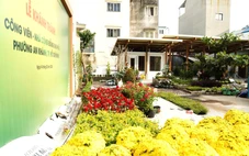 Phường An Khánh đưa vào sử dụng 12 công viên, nhà sinh hoạt cộng đồng dịp tết Bính Ngọ