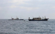 Nhật Bản thả thuyền trưởng tàu cá Trung Quốc sau một ngày bắt giữ