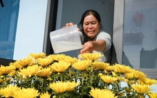 Tết đã gõ cửa những 'mái nhà Quang Trung': 'Niềm vui này lớn quá, mấy đêm nay không ngủ được!'