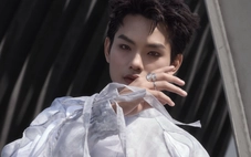 buitruonglinh chúc bạn đọc Tuổi Trẻ 'một năm cực kỳ vui tươi'