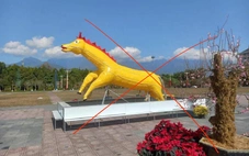 Lai Châu lên tiếng về hình ảnh 'linh vật ngựa lai hươu'