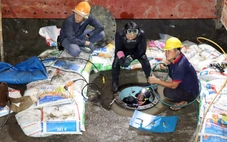 Tết này, người dân TP.HCM gặp sự cố điện, nước, hạ tầng gọi ai?