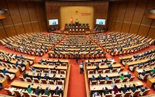 65 người ngoài Đảng, 4 người tự ứng cử đại biểu Quốc hội khóa XVI