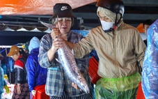 Thị trường cá thu ở Đà Nẵng nhộn nhịp trước Tết, giá thế nào?