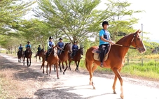 Thiên Mã - Madagui: Nhịp vó ngựa mở lối, đánh thức vùng đất đại ngàn
