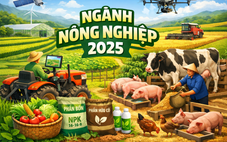 Ngành nông nghiệp lãi lớn, ai đang hụt hơi vì giá heo?