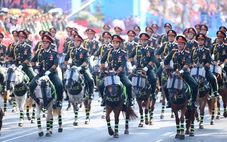 Lược sử thuần hóa, hàng ngàn năm người và ngựa thành đồng đội