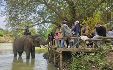 Du khách tuổi Ngọ được ‘lì xì’ vé tham quan cầu treo Buôn Đôn