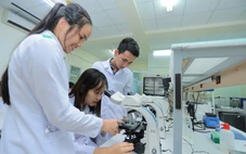 'Liên minh' thúc đẩy đổi mới sáng tạo