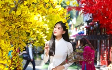 Thời tiết hôm nay 3-2: Bắc Bộ sương mù, Nam Bộ nắng oi