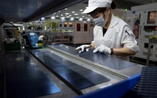 Giá tấm bán dẫn năng lượng mặt trời tại Trung Quốc giảm mạnh