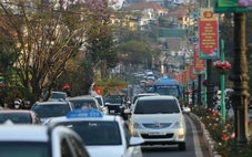 Mùng 4 Tết, Đà Lạt đông đúc, khách sạn treo bảng 'hết phòng' khắp trung tâm