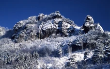 Lao động Việt Nam thiệt mạng khi leo núi tại Nhật Bản