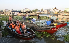 Tạm dừng đón khách tại bến cầu tàu Chợ nổi Cái Răng vì ép giá, nâng giá
