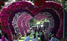 Du lịch Việt bùng nổ dịp Tết