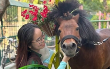 TP.HCM vắng dịp Tết, Thảo cầm viên sài Gòn vẫn thắng lớn