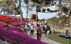 Tết là cao điểm, không phải nghỉ lễ: Du lịch từ đón đông khách đến 'đón khách văn minh'