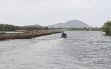 Quyết định cưỡng chế khắc phục hậu quả đối với người bao chiếm đầm Đông Hồ