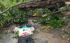 Cây xanh gãy đổ tại vườn hoa Lý Tự Trọng sát hồ Tây đè trúng 2 người dân phải đi cấp cứu