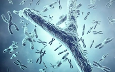 Nam giới càng lớn tuổi càng 'mất' nhiễm sắc thể Y: Điều gì đang xảy ra?