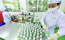 Tin tức sáng 25-2: Traphaco bị truy thu hàng tỉ tiền thuế; Đề xuất nâng hỗ trợ bảo hiểm nông nghiệp