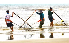 Người dân đua nhau cào ốc tép kiếm tiền triệu mỗi ngày dịp đầu năm