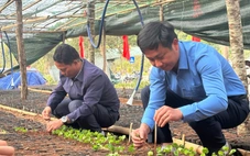 Lãnh đạo xã bới đất ươm cà phê, quyết tặng miễn phí 1 triệu cây giống cho dân