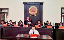 Tòa án nhân dân tỉnh Đồng Tháp mở phiên tòa tái thẩm đầu tiên