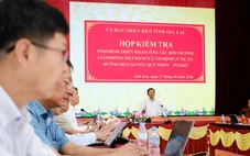 'Thần tốc, quyết liệt' giải phóng mặt bằng dự án cao tốc Quy Nhơn - Pleiku