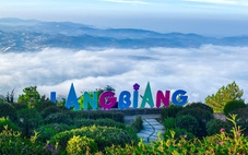 Du xuân 2026: Khám phá sức sống Đà Lạt cùng Dalattourist