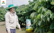 'Nét Đẹp Mùa Vàng Thắng Lớn': livestream đặc biệt tôn vinh chị em nhà nông