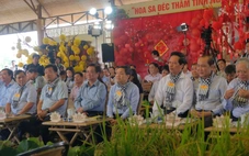 Giữa ruộng hoa bàn chuyện người 'nông dân chuyên nghiệp'