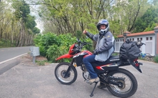 Du khách thích thú với vườn cao su đang thay lá ở TP.HCM