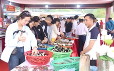 Gần 700 gian hàng OCOP trưng bày tại Lễ hội mùa Xuân Côn Sơn - Kiếp Bạc