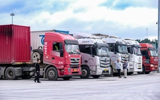 Cần cấp bách có hướng dẫn kiểm tra thực phẩm nhập khẩu bảo đảm khả thi, thông quan kịp thời